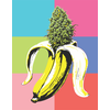 Banana OG, Фасовка: 3, изображение 3